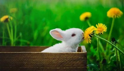 爱游戏体育_ 世界田径接力锦标赛，团队配合的荣耀之战，田径4×100接力世界纪录